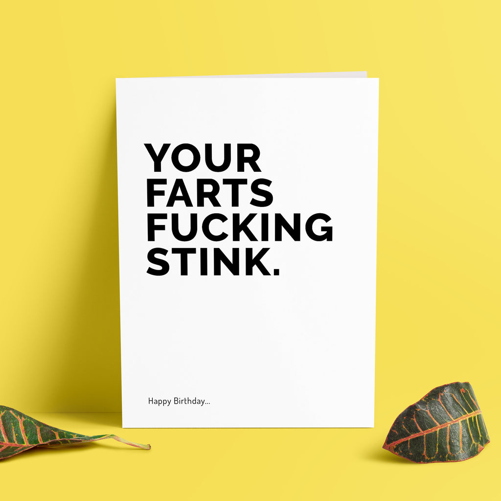 Rude Birthday Card - Your Farts Fucking Stink - Funny Birthday Card - Card For Friend Birthday - Birthday Gifts - Fart Gifts - TH-066 TeHe Gifts UK